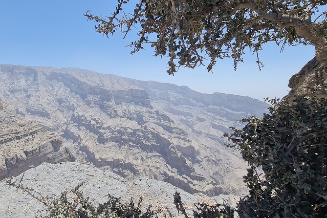 Full Day Private Tour to Nizwa and Jebel Shams From Muscat - Al Hamra Village