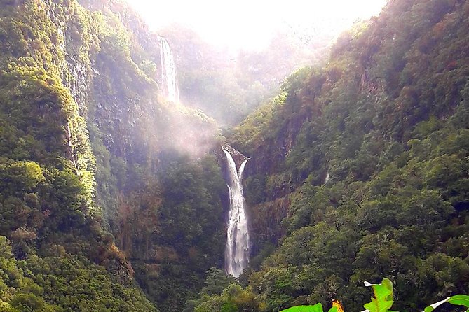 Full-Day Rabacal Levada Walk From Funchal - Towering Cliff Encounter