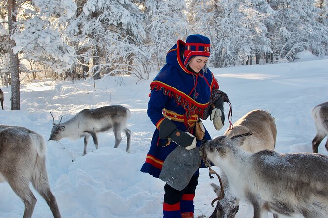 Full-Day Reindeer Tour With Pickup in Kiruna - Inclusions