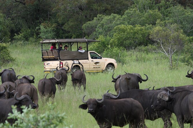 Full Day Safari Shared Tour at Kruger National Park - Tour Accessibility and Suitability