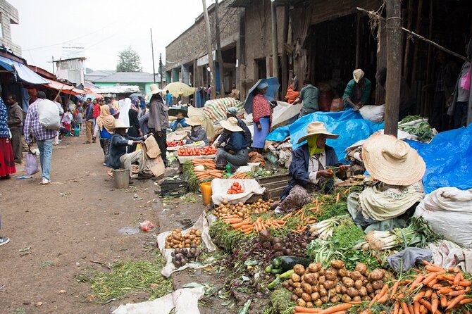 Full Day Tour of Addis Ababa With Hotel PickUp And Drop-off - Accessibility and Accommodations