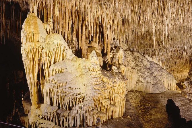 Full Day Tour to Caves of Drach and Hams With Porto Cristo and Pearl Factory - Drach Cave System