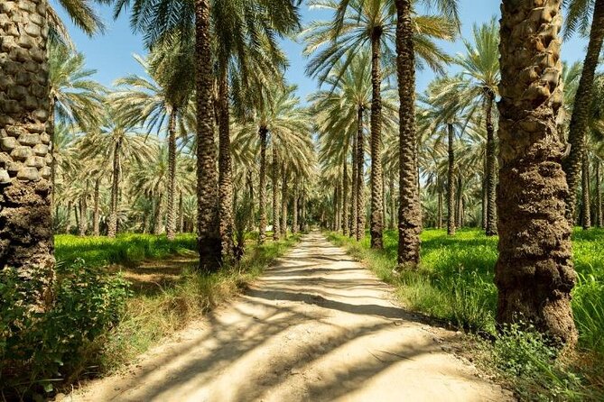 Full Day Tour to Nizwa Souq, Castle & Fort, Barakat Al Mouz - Accessibility and Participation