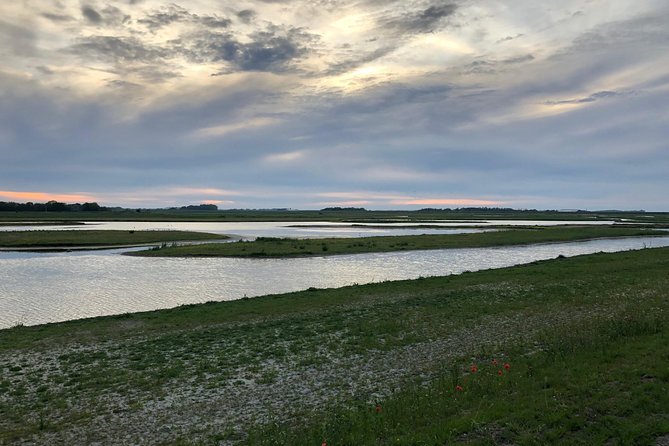 Full Day Tour to Texel - Friesian Islands - From Amsterdam - Tour Details