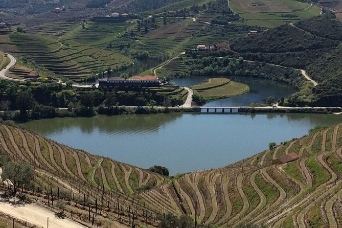 Full Day, Wine Tasting, River Cruise and Lunch From Porto - Transportation and Infant Seats