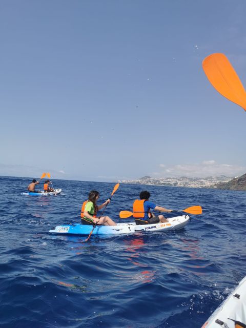 Funchal Boat Trip With Kayak Experience - Inclusions