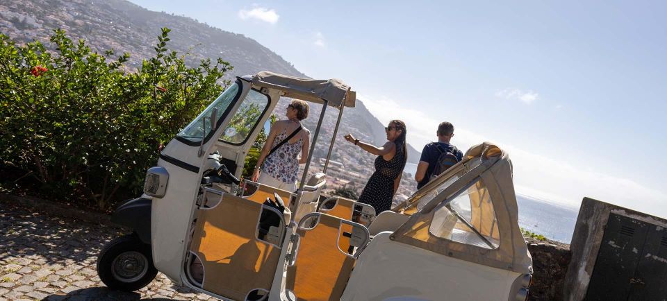 Funchal - Botanical Garden Tour by TukTuk (1h45) - Botanical Garden Highlights