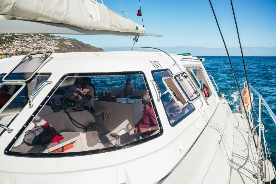 Funchal: Dolphin and Whale Watching by Luxury Catamaran - Onboard Amenities