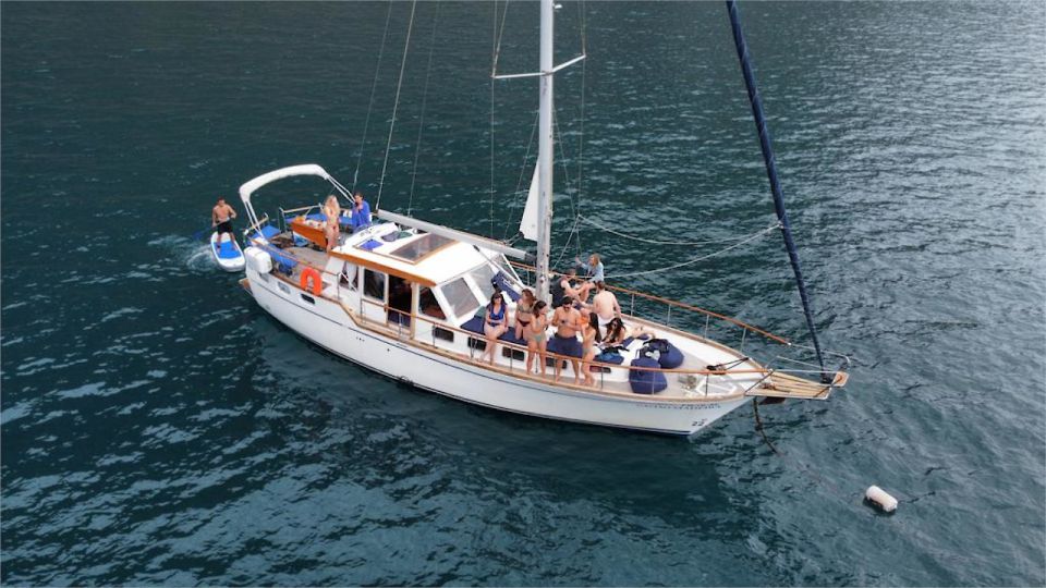 Funchal: Dolphin and Whale Watching Sailing Trip - Inclusions and Meeting Point