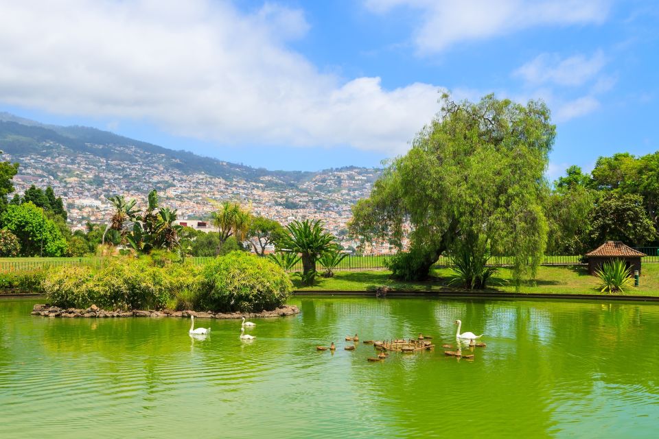 Funchal Tour and Câmara De Lobos Tour - Included Features