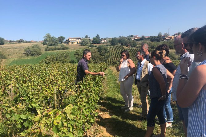 Golden Stones Beaujolais Wine Tour With Tastings From Lyon - Pastry Sampling at the Vineyard