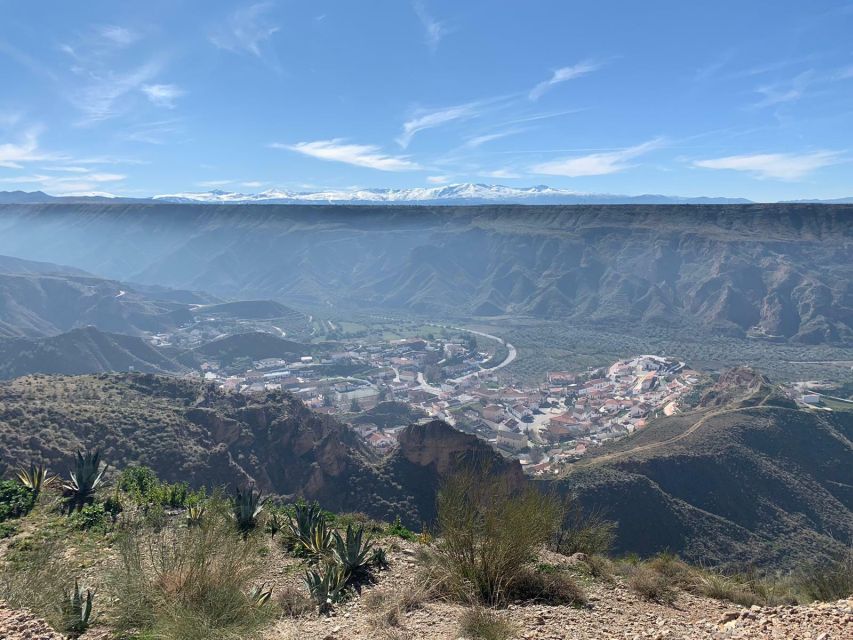 Granada Geopark: Desert and Prehistory Tour With Lunch - Itinerary