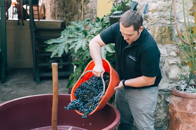 Grape Stomping in Tuscan Farmhouse From Florence - Chianti Countryside Visit