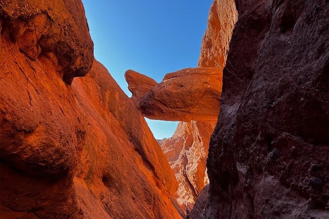 Guide for Gorges Dades, Valley of Roses and All of Morocco. - Valley of the Roses