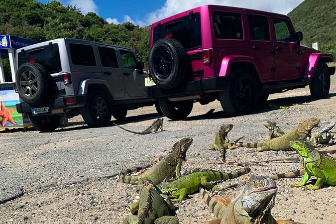 Guided Jeep Tour Exploring French and Dutch St Maarten - Accessibility and Transportation