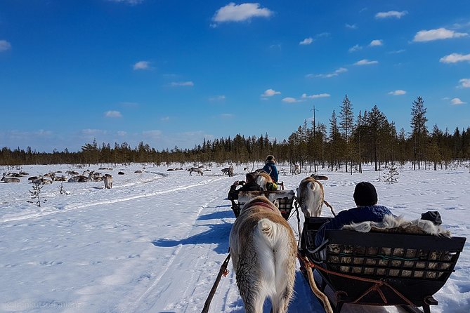 Guided Reindeer Farm Visit and One Hour Sledge Safari - Accessibility Information