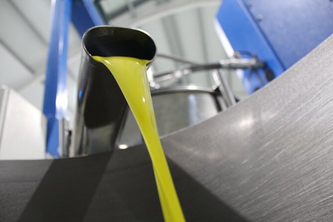 Guided Tour and Olive Oil Tasting in Alhaurin El Grande (Malaga) - Olive Oil Production Process