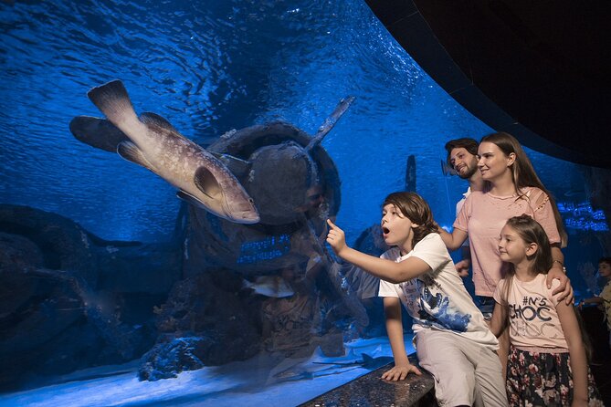 Half Day Antalya Aquarium Tour And Wax Museum - Meeting and Pickup Details