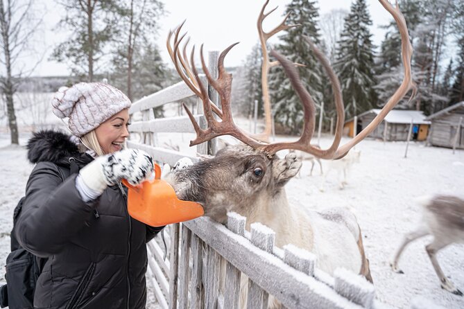 Half-Day Experience in Local Reindeer Farm in Lapland - Tour Schedule