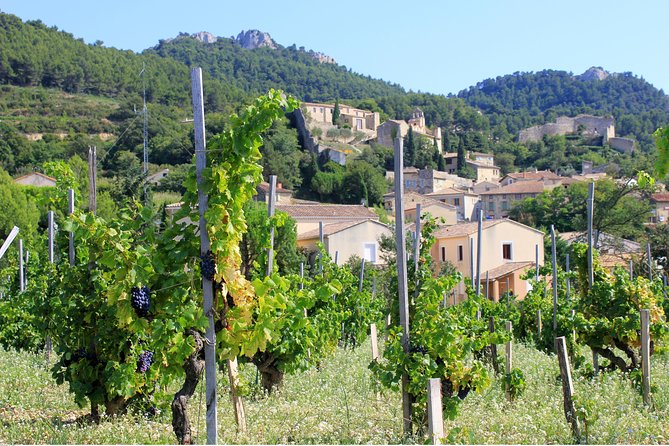 Half Day Great Vineyard Tour From Avignon - Visiting the Wineries