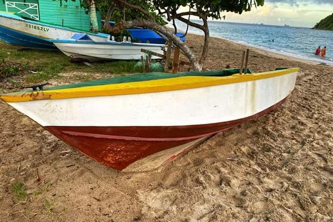 Half Day Grenada Wonders Tour - Exploring Grand Etang Lake