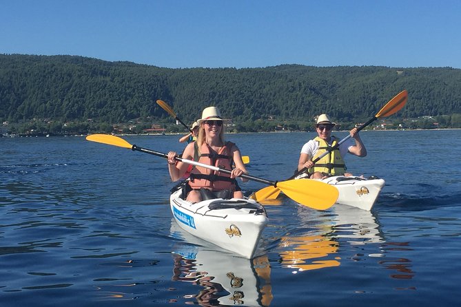 Half Day Kayak Trip - Additional Information and Restrictions