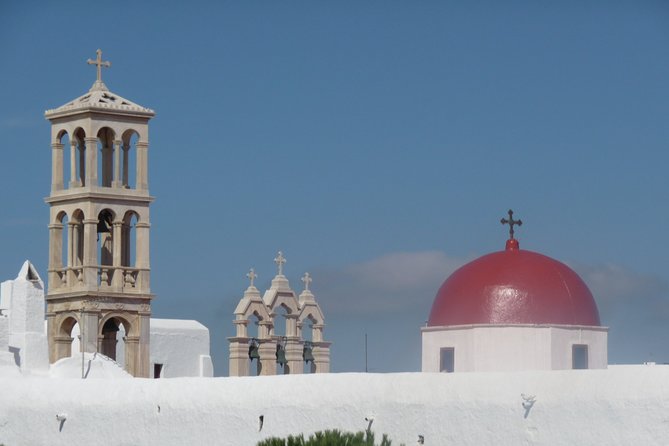 Half-Day Private Guided Tour in Mykonos - Accessibility and Transportation