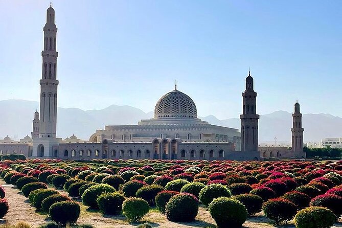 Half Day Private Muscat City Afternoon Tour - Meeting and Pickup