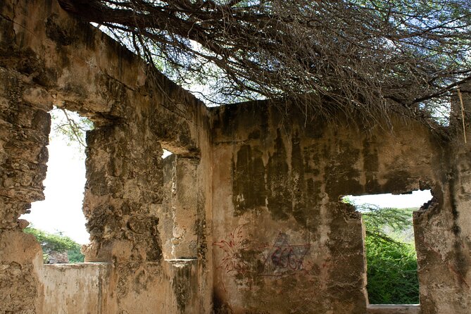 Half-Day Spanish Lagoon Mangrove Trail With Private Guide - Visiting Balashi Gold Mill Ruins