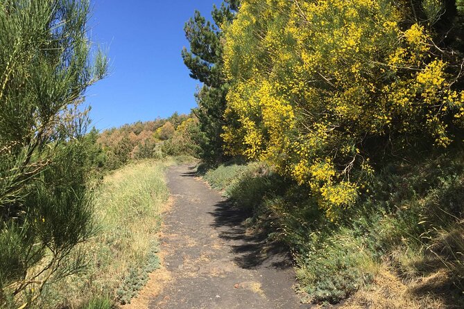 Half Day Trekking Tour on Etna - Tour Details