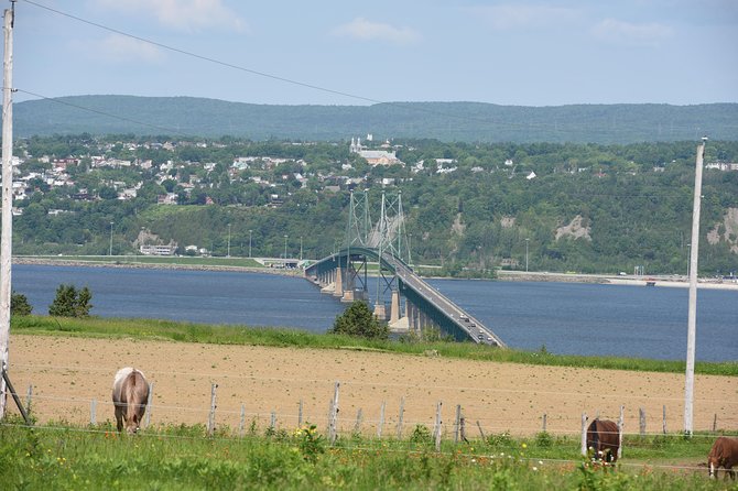 Half-Day Trip to Montmorency Falls and Ste-Anne-De-Beaupré From Quebec City - Logistics and Inclusions