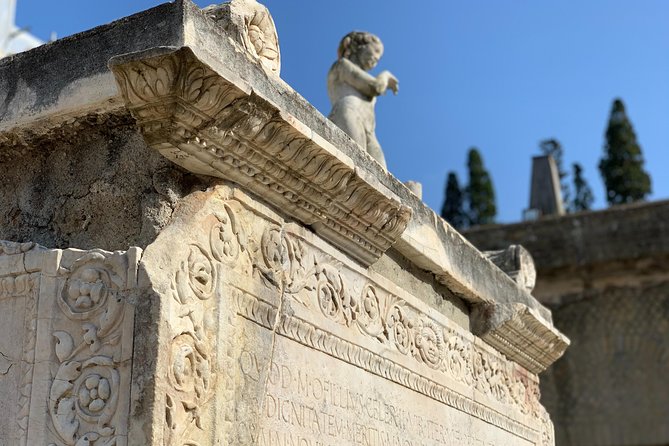 Herculaneum Guided Tour With Your Archaeologist - Exploring Herculaneum With an Archaeologist