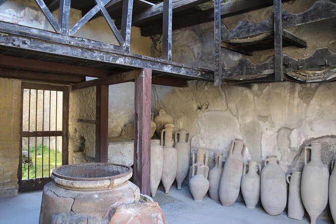 Herculaneum Private Guided Tour Led by a Local Top-Rated Guide - All Inclusive - Additional Information