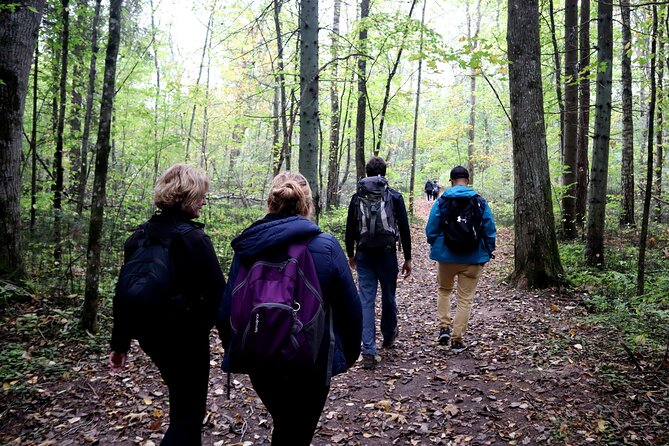 Hike In Gauja National Park - Up And Down The Switzerland Of Latvia - Preparing for the Moderate Hike