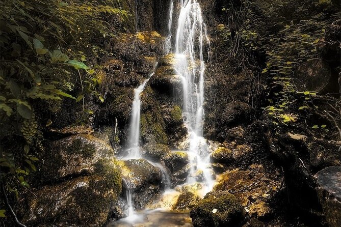 Hike the Valle Delle Ferriere With Lunch at Agriturismo Foreporta - Tour Schedule