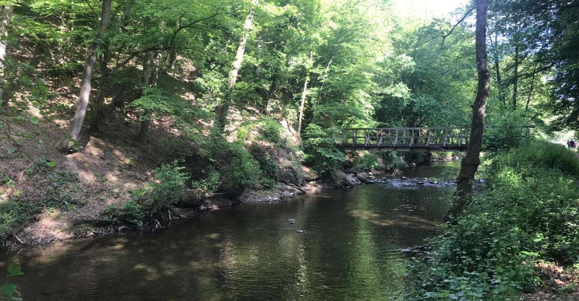 Hikes With a Picnic Backpack in the Ardennes - Picnic Experience