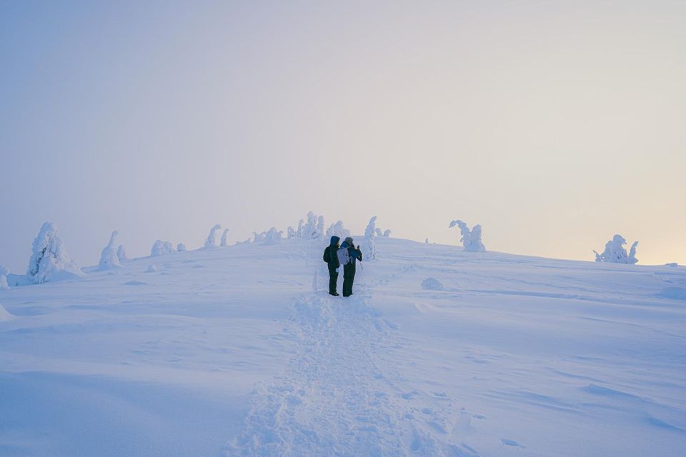 Hiking in Riisitunturi National Park With Photographer - Lunch Experience