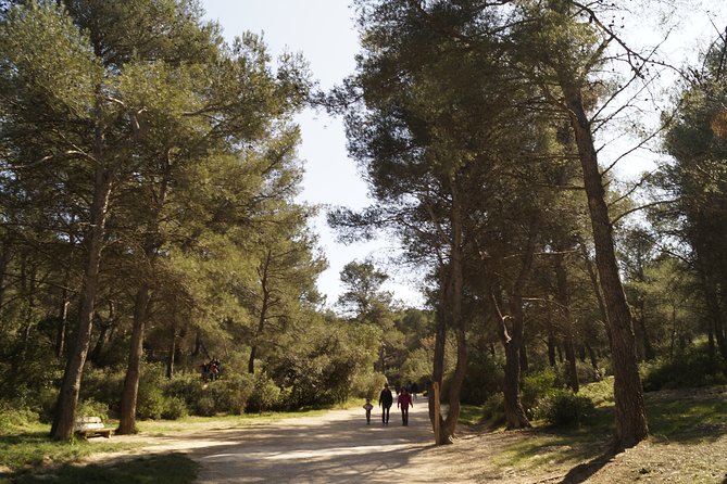 Hiking in the Calanques National Park From Luminy - Scenic Viewpoints, Swim Stops, and Picnic