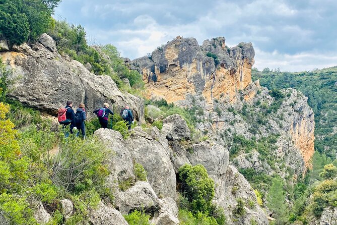 Hiking Tour of the Roman Aqueduct of Peña Cortada and Water Route - Lunch Options