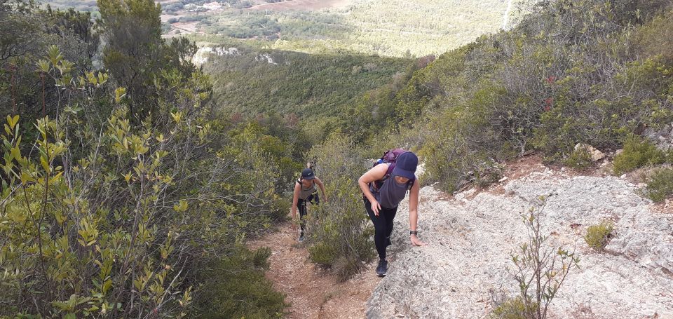 Hiking Tour to the Highest Point of Arrábida Mountain - Arrabida Natural Park