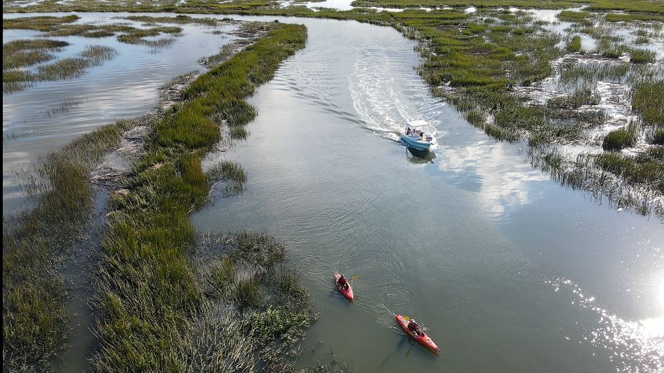 Hilton Head: 2 Hour Private Dolphin Tour - Inclusions