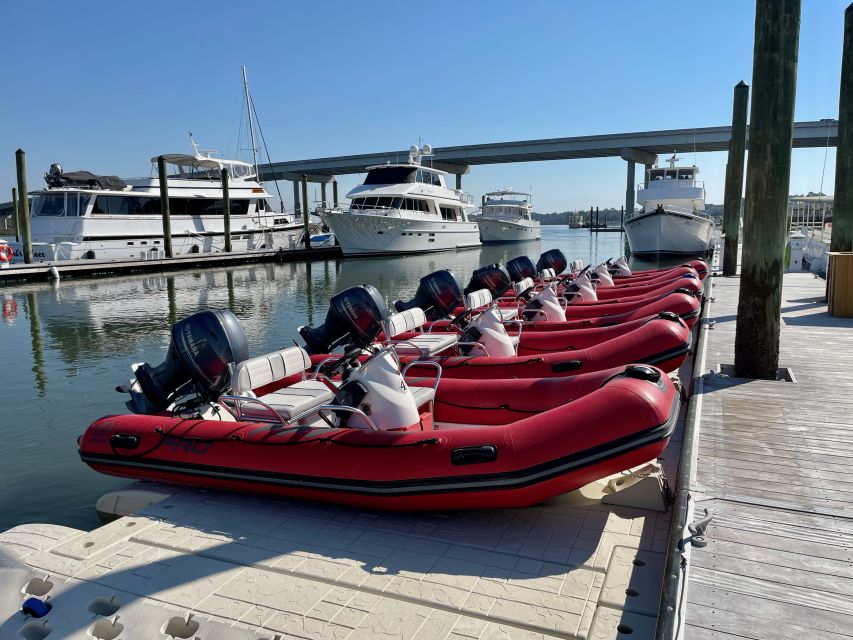 Hilton Head: Guided Disappearing Island Tour by Mini Boat - Highlights of the Tour