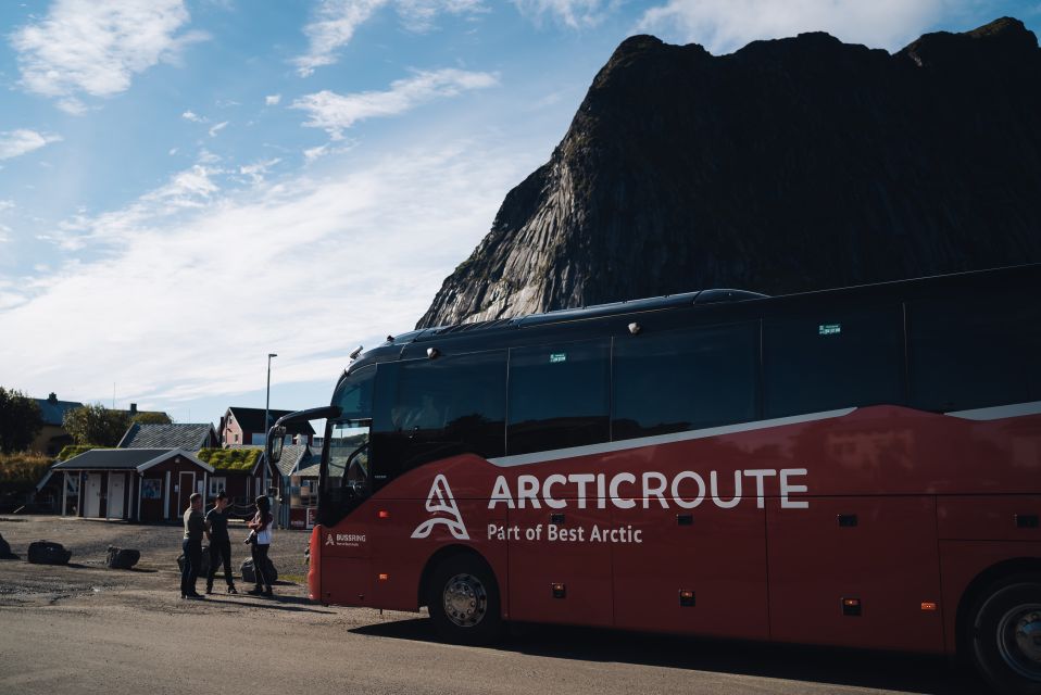 Hop-On/Hop-Off to 30 Places With the Arctic Route in Norway - Highlights of the Arctic Journey