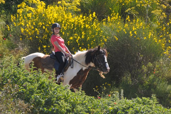 Horse Riding in Kusadasi - Accessibility and Recommendations