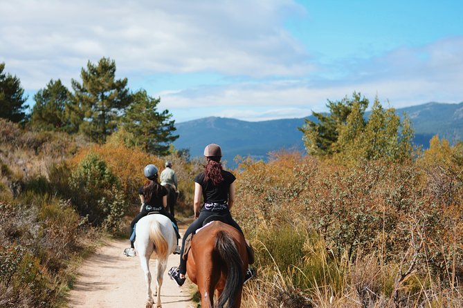 Horse Riding Madrid Natural Park - Participant Requirements