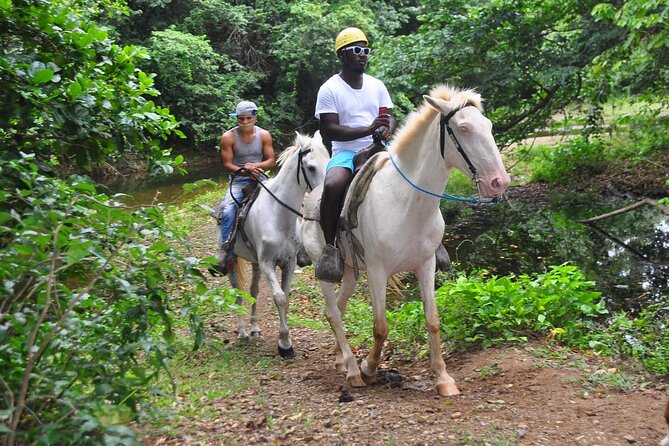 Horseback Riding at Macao Beach - Positive Feedback Highlights