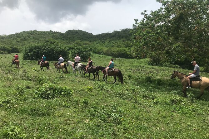 Horseback Riding Experience - Included in the Tour