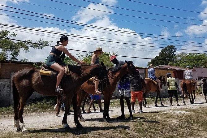 Horseback Riding From Montego Bay - Accommodation and Amenities