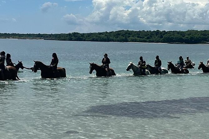 Horseback Riding in the Ocean From Ocho Rios & Runaway Bay - Pickup and Drop-off Details