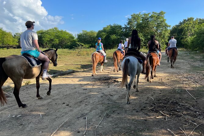 Horseback “Special”- Negril'S Beach Ride N' Swim With Free Photos/Videos - Mangrove and Hidden Beach